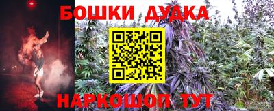 стафф Донской