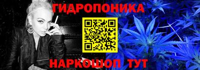 шишки Дубна