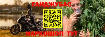 шишки Дубна