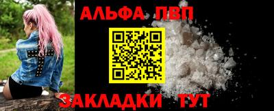 шишки Дубна