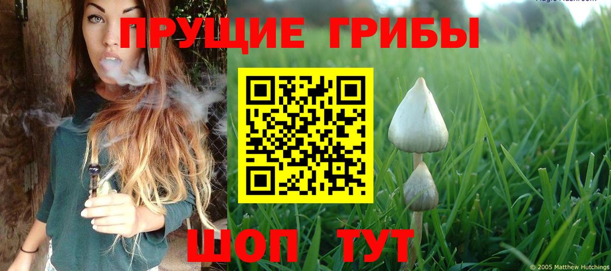 Галлюциногенные грибы Бутурлиновка